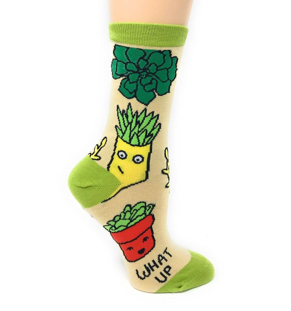 What Up Succa Socks