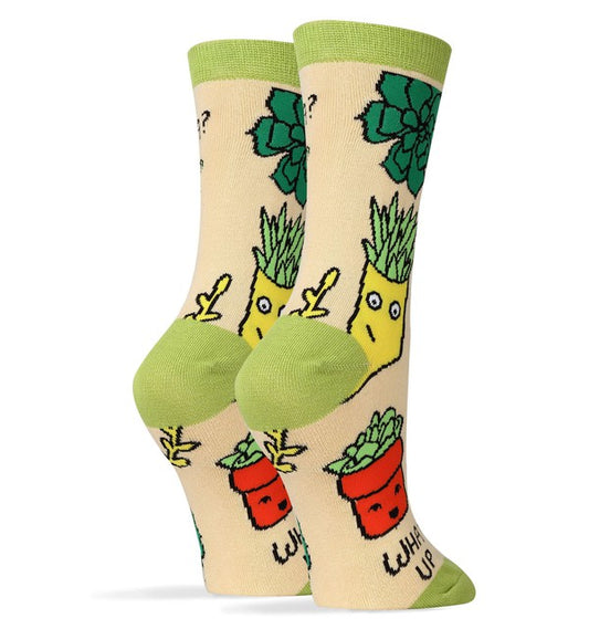 What Up Succa Socks